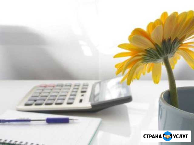 Декларации 3-ндфл,усн,енвд. Ведение бухгалтерского Архангельск - изображение 1