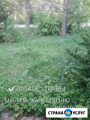 Покос травы Можайск - изображение 1