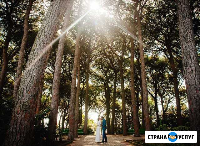 Свадебный фотограф в Ялте. Фотопоездки по Крыму Ялта - изображение 1