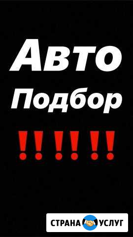 Авто подбор Каменск-Шахтинский - изображение 1