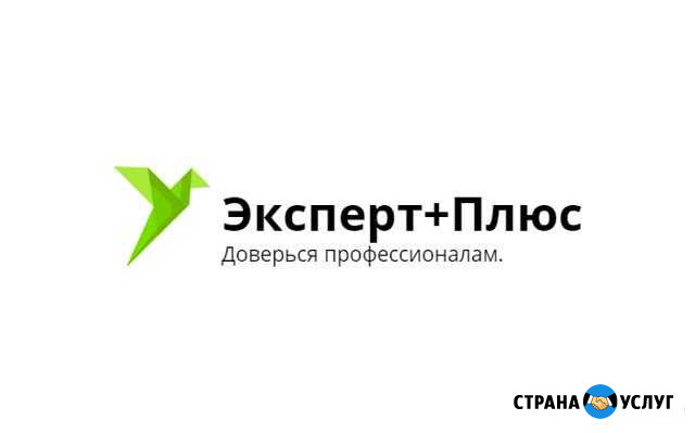Открытие счетов. Открытие ооо или ип Санкт-Петербург - изображение 1