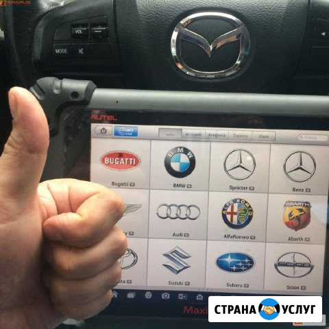Диагностика Авто мультимарочным сканером Киров - изображение 1
