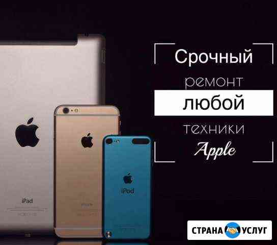 Ремонт iPhone, iPad, MacBook Прохладный