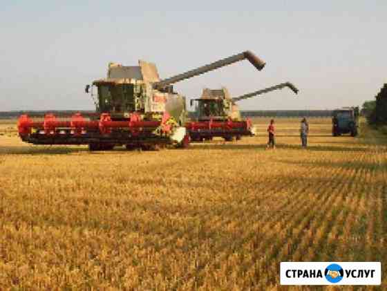Уборка урожая 2019 Тихорецк