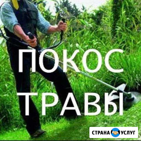 Покос травы,расчистка участка,спил деревьев Краснодар - изображение 1