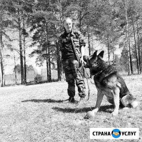 Передержка животных Екатеринбург