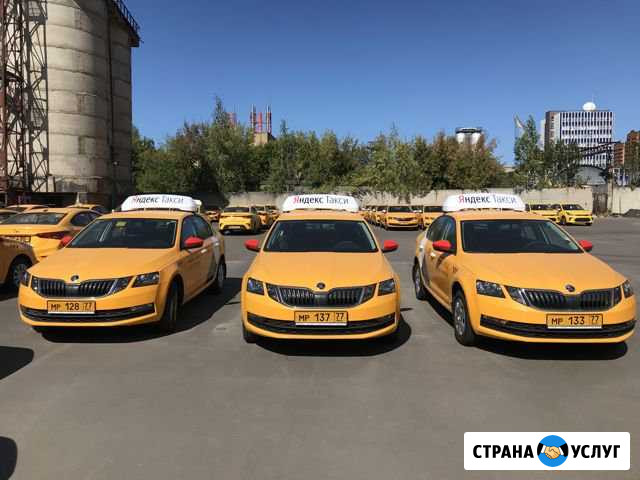 Аренда авто под такси Октавия Шкода Москва - изображение 1