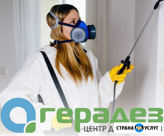 Уничтожение клопов, тараканов в квартире. Ижевск Ижевск - изображение 1