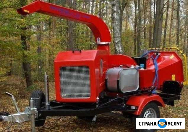 Очистим территорию от древесного мусора Наро-Фоминск - изображение 1