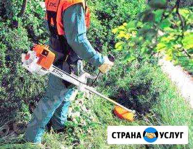 Покос травы Спил деревьев Краснодар