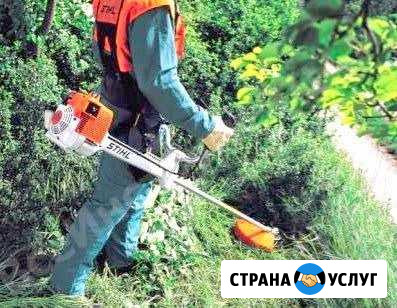 Покос травы Спил деревьев Краснодар - изображение 1