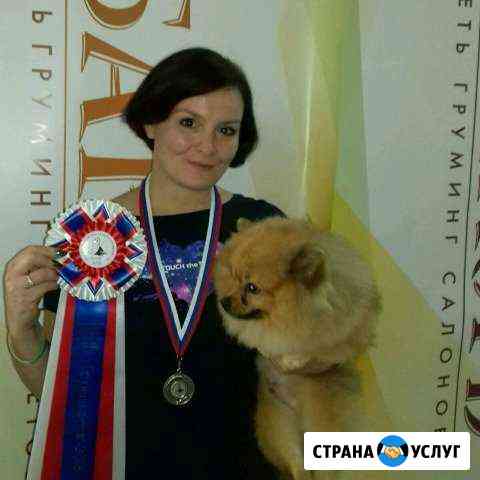 Грумер стрижка мытье гигиена собак и кошек Москва