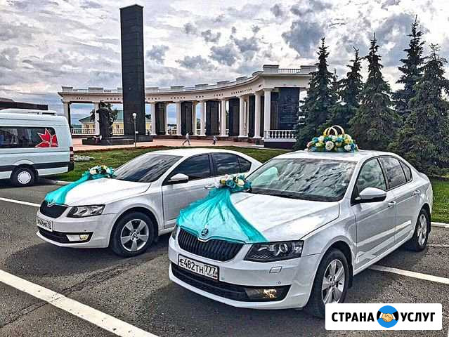 Аренда автомобиля с водителем Саранск - изображение 1
