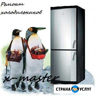 Ремонт холодильников Набережные Челны - изображение 1