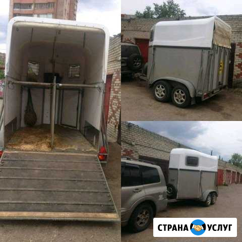 Коневоз,скотовоз,перевозка животных, технику Владимир - изображение 1