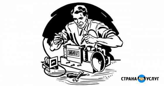 Ремонт мелкой бытовой техники, игрушек Саранск