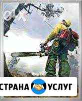 Профессиональный Спил Деревьев, Корчевание пней Ставрополь