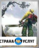 Профессиональный Спил Деревьев, Корчевание пней Ставрополь - изображение 1