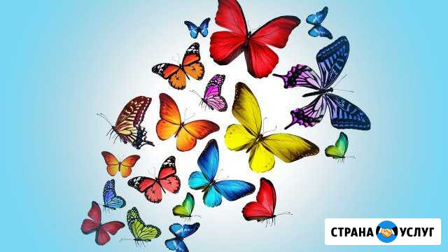 Логопед-дефектолог Подольск - изображение 1