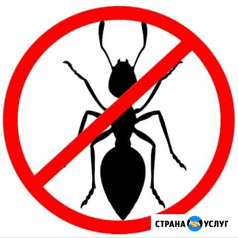 Уничтожение муравьёв и прочих насекомых Ноябрьск - изображение 1