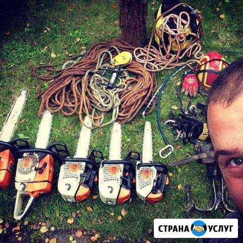 Валка, спил деревьев Санкт-Петербург
