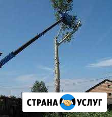 Выпиловка удаление деревьев, кустарников Ржев - изображение 1