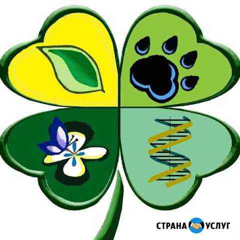 Репетитор по биологии Махачкала
