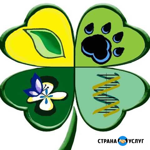 Репетитор по биологии Махачкала - изображение 1
