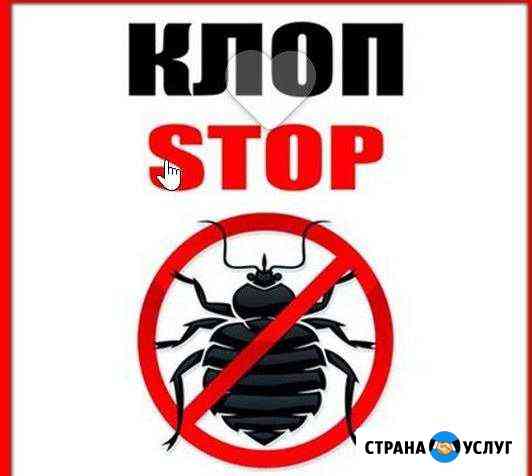 Уничтожение насекомых с гарантией Лесной Лесной