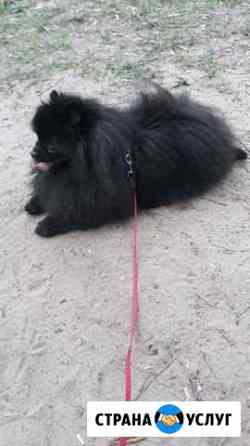 Ищу невесту Нижний Новгород