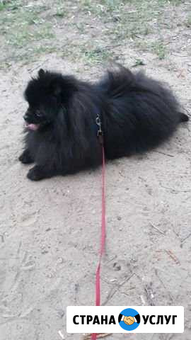 Ищу невесту Нижний Новгород - изображение 1