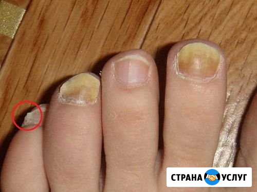 Педикюр маникюр реснички брови Аша - изображение 1