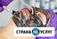 Карбоновый пилинг Волжский Волгоградской области
