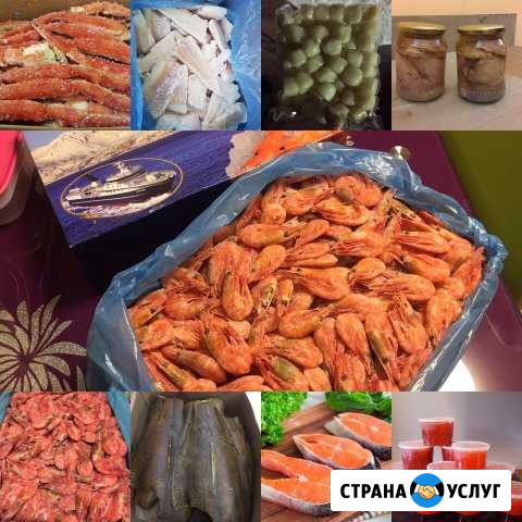 Краб,креветка,сёмга,гребешок Мурманск - изображение 1