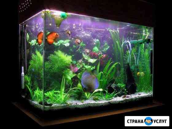 Обслуживание аквариума Санкт-Петербург