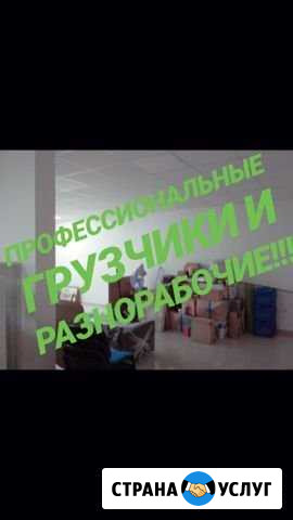 Грузчики Краснодар - изображение 1