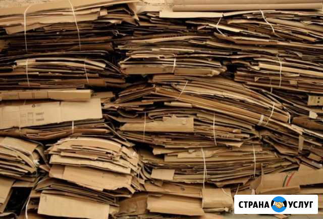 Вывоз макулатуры, бумага, картон Санкт-Петербург - изображение 1