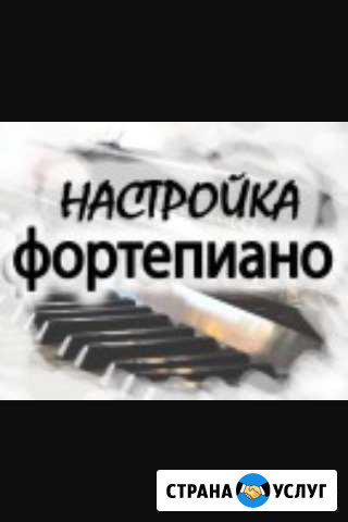 Пианино, рояли Ремонт и настройка Бийск - изображение 1