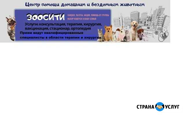 Ветеринарный центр помощи животным Зоосити Магнитогорск - изображение 1