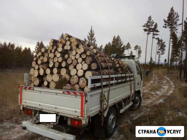 Продам дрова Чита - изображение 1