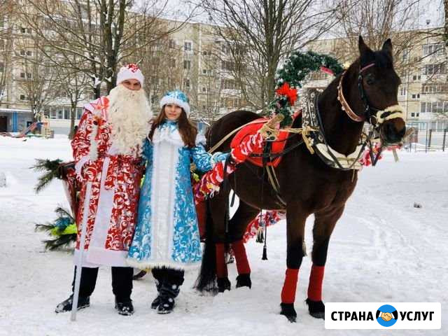 Дед Мороз и Снегурочка Обнинск - изображение 1