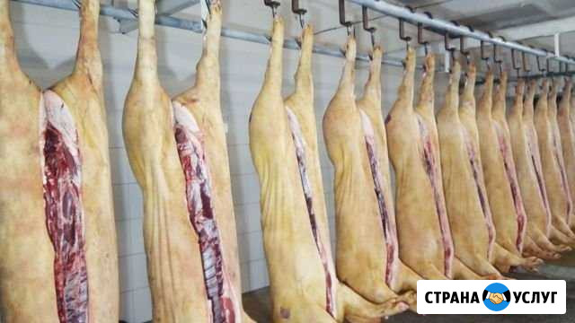 Свинина паленка Люберцы - изображение 1