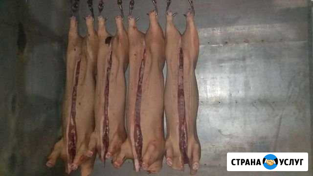 Мясо свинина не жирная Глядянское - изображение 1
