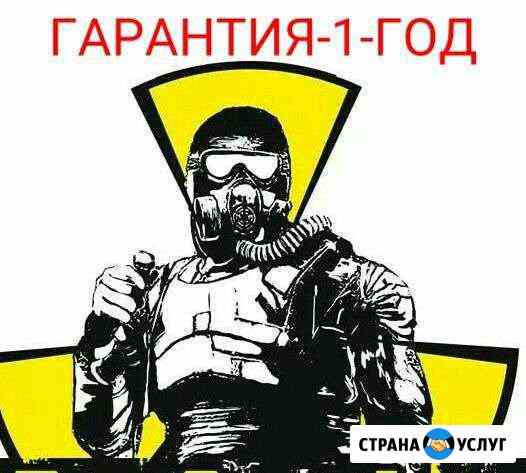 Дезинсекция-Уничтожение Клопов,тараканов,муравьёв Елабуга
