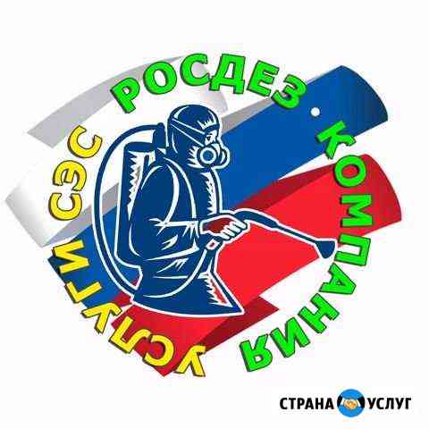 Уничтожение тараканов, клопов, крыс Ангарск