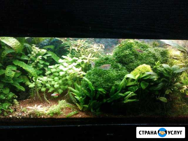 Изготовление аквариумов, террариумов, крышек и осв Ковров - изображение 1