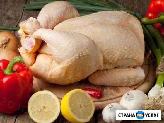 Бройлер Сызрань