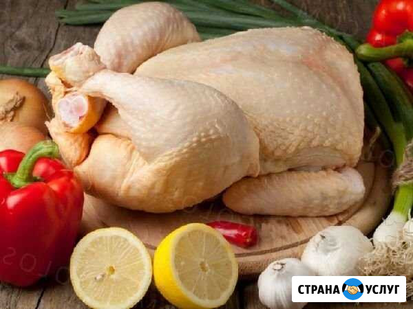 Бройлер Сызрань - изображение 1