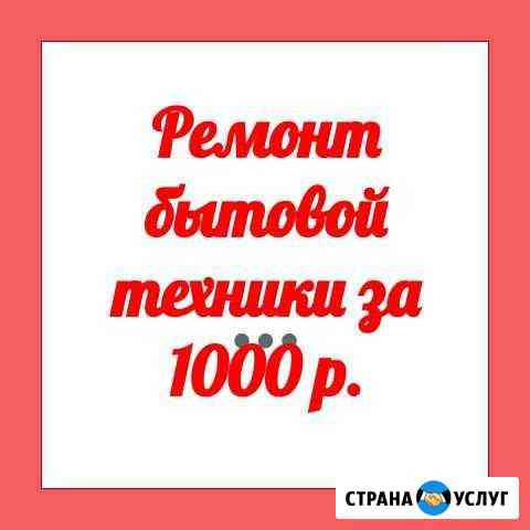 Ремонт бытовой техники Красноярск