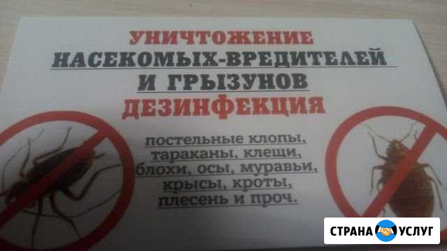 Уничтожение клопов тараканов Владимир - изображение 1